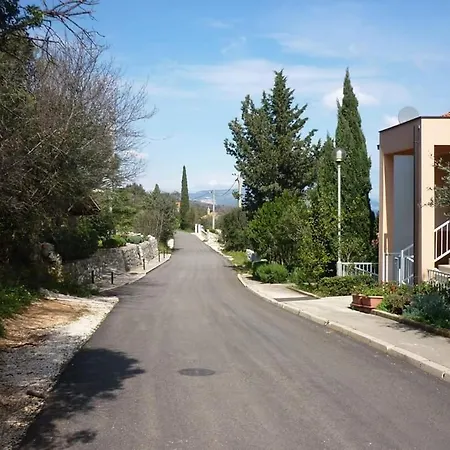 4 Roses * رافني