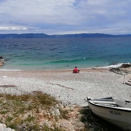 4 Roses * رافني